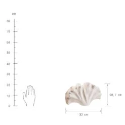 Deko-Objekt Blatt Höhe 21cm GINKGO In Creme -Hausdiscounter butlers deko objekt blatt hohe 21cm ginkgo in creme 3