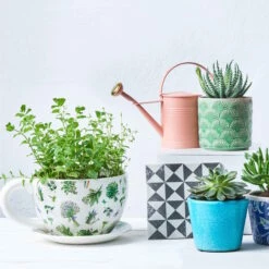 Pflanztasse Lavendelsträuße PLANT A CUP In Weiß 6 Pflanztasse Lavendelsträuße PLANT A CUP In Weiß -Hausdiscounter butlers pflanztasse lavendelstrausse plant a cup in weiss 2