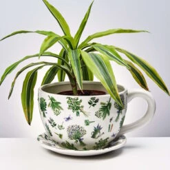 Pflanztasse Lavendelsträuße PLANT A CUP In Weiß 7 Pflanztasse Lavendelsträuße PLANT A CUP In Weiß -Hausdiscounter butlers pflanztasse lavendelstrausse plant a cup in weiss 3