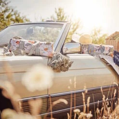 Picknickdecke L 175 X B 154cm BETWEEN FLOWERS In Creme -Hausdiscounter butlers picknickdecke l 175 x b 154cm between flowers in creme 11