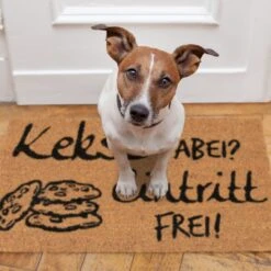 Fußmatte Kekse Dabei? Eintritt Frei! In Natur/Schwarz - 40 X 60 Cm 11 Fußmatte Kekse Dabei? Eintritt Frei! In Natur/Schwarz - 40 X 60 Cm -Hausdiscounter relaxdays fussmatte kekse dabei eintritt frei in natur schwarz 40 x 60 cm 4