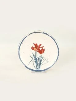 24tlg. Kombiservice In Creme/ Bunt -Hausdiscounter violeta home 24tlg kombiservice in creme bunt 5